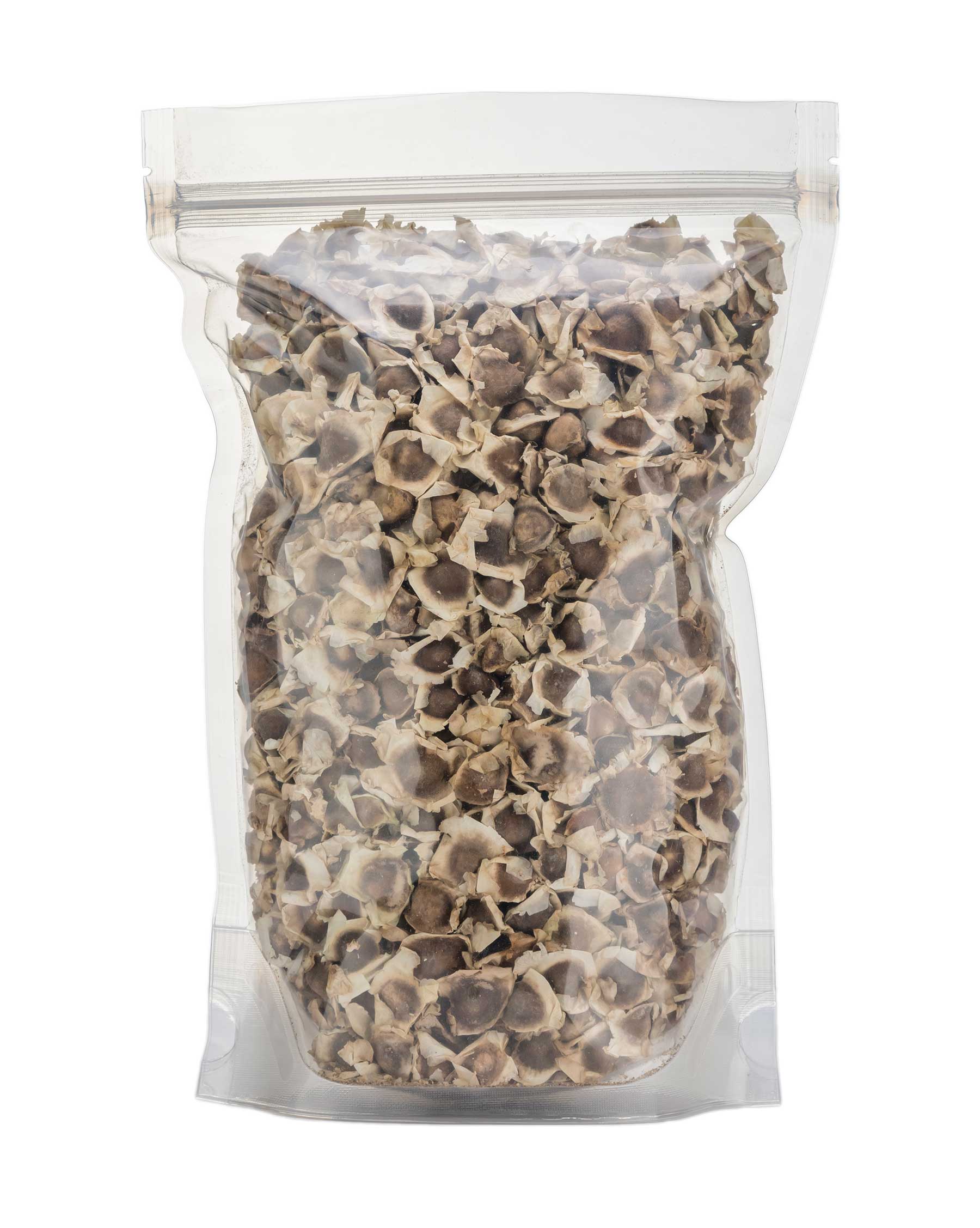 Moringa Oleifera Dried Seeds