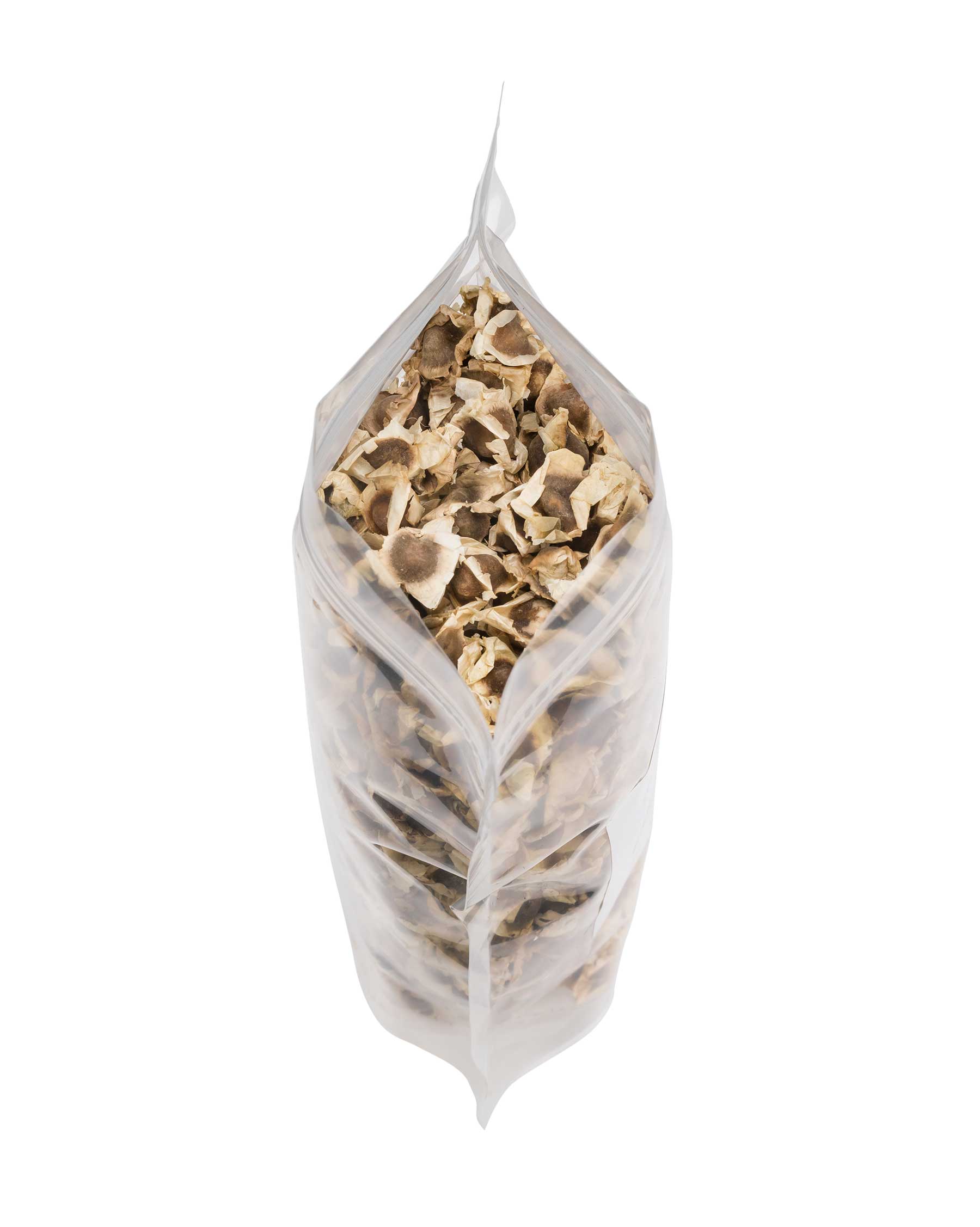 Moringa Oleifera Dried Seeds